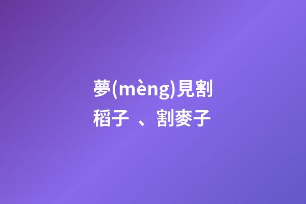 夢(mèng)見割稻子、割麥子
